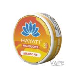 Hayati Nicotine Pouches UK | Tobacco-Free Nicotine Pouches